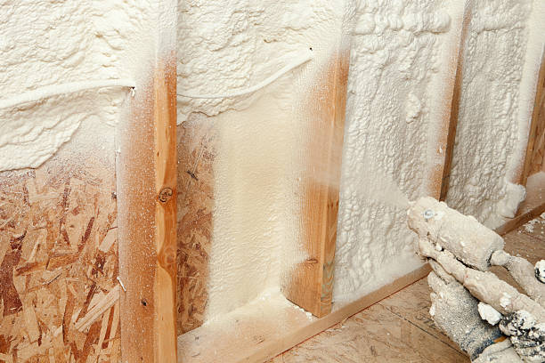 Best Spray Foam Insulation  in South Plainfield, NJ